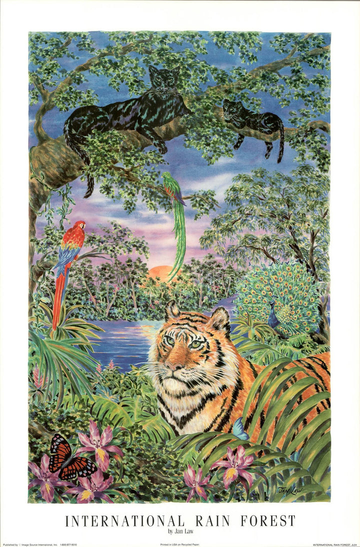 International Rain Forest by Jan Law - 24 X 36 Inches (Art Print)