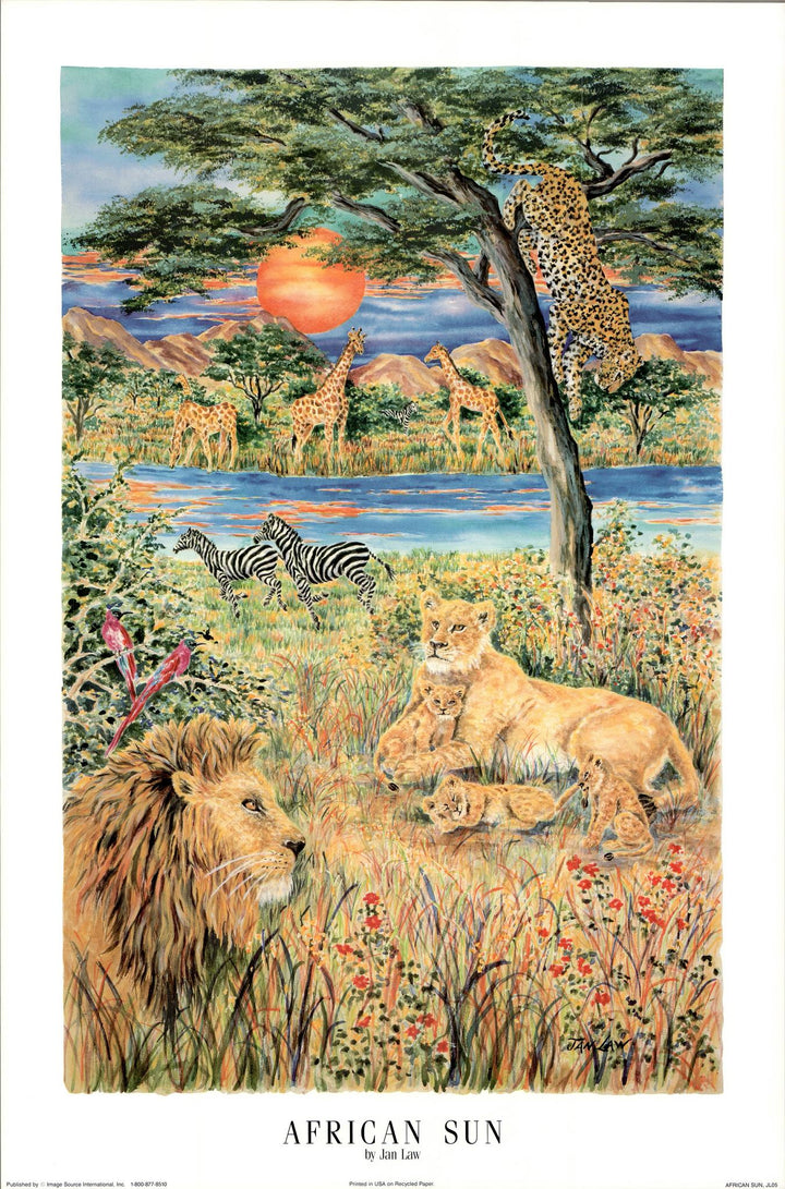 African Sun by Jan Law - 24 X 36 Inches (Art Print)