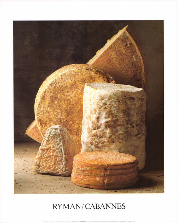 Cheese by Pierre Cabannes & Corinne Ryman - 16 X 20 Inches (Art Print)