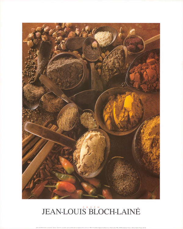 Spices by Jean Louis Bloch-Lainé - 16 X 20 Inches (Art Print)