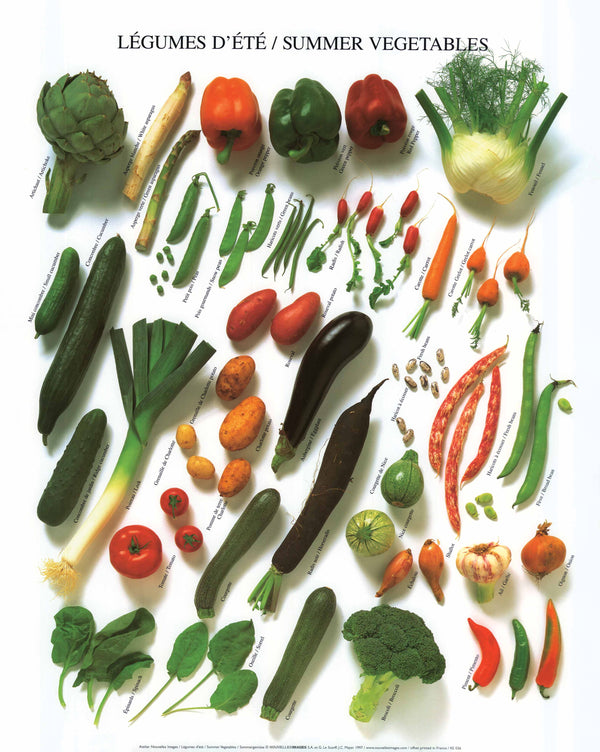Summer Vegetables by Atelier Nouvelles Images - 16 X 20 Inches (Art Print)