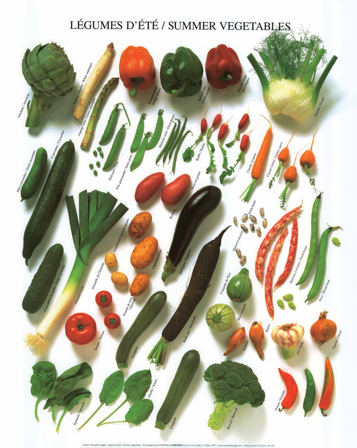 Summer Vegetables by Atelier Nouvelles Images - 16 X 20 Inches (Art Print)
