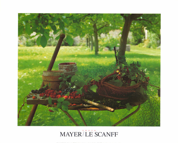 Fruits Rouges by G. Le Scanff & J. C. Mayer - 16 X 20 Inches (Art Print)