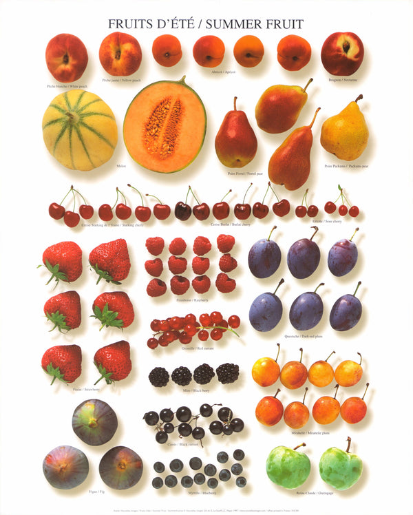 Summer Fruit by Atelier Nouvelles Images - 16 X 20 Inches (Art Print)