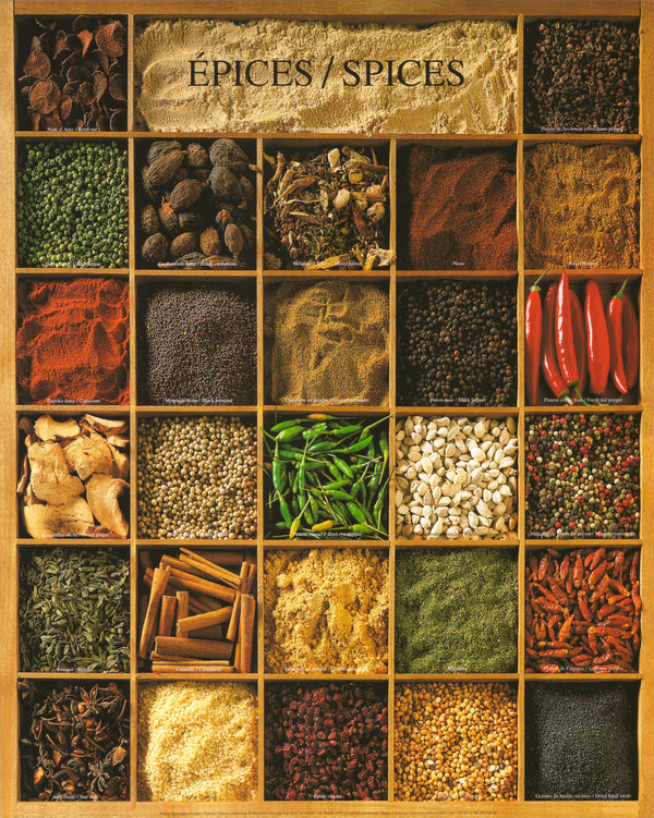 Spices by Atelier Nouvelles Images - 16 X 20 Inches (Art Print)