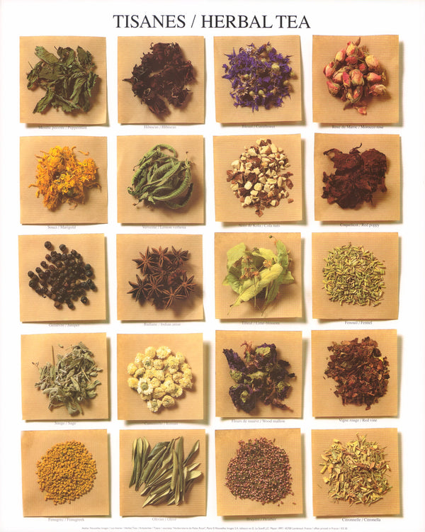 Herbal Teas by Atelier Nouvelles Images - 16 X 20 Inches (Art Print)