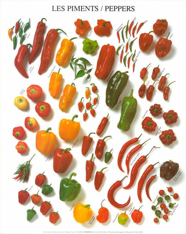 Peppers by Atelier Nouvelles Images - 16 X 20 Inches (Art Print)