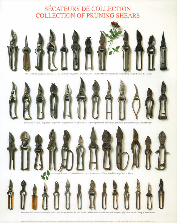 Collection of Pruning Shears by Atelier Nouvelles Images - 16 X 20 Inches (Art Print)