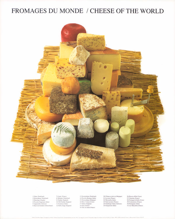 Cheese of the World by Atelier Nouvelles Images - 16 X 20 Inches (Art Print)