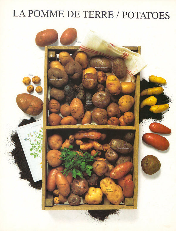 La Pomme de Terre/Potatoes by Atelier Nouvelles Images - 16 X 20 Inches (Art Print)
