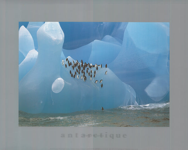 Weddell Sea, Antarctica by Winfried Wisniewski - 16 X 20 Inches (Art Print)