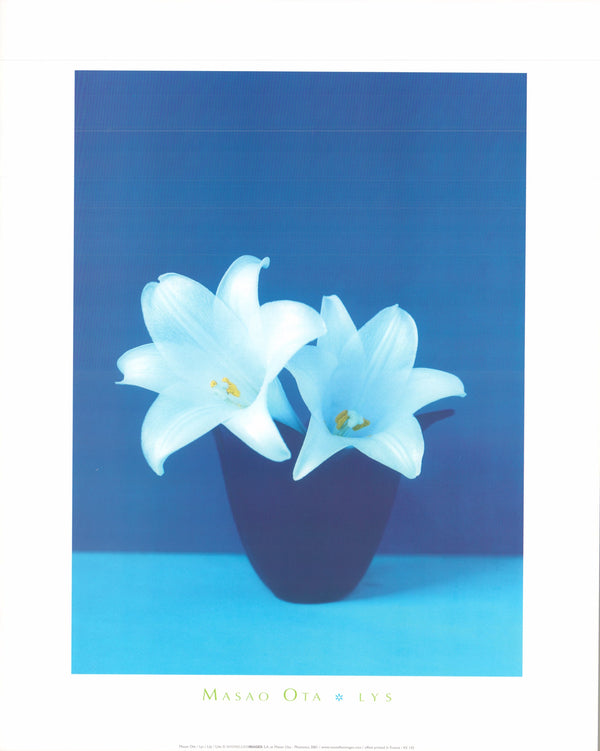 Lily by Masao Ota - 16 X 20 Inches (Art Print)