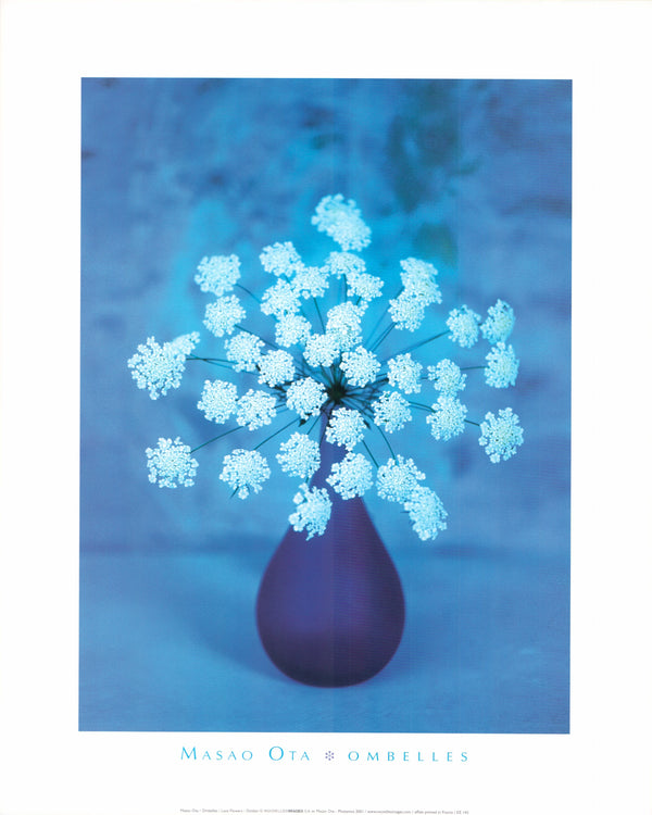 Lace Flowers by Masao Ota - 16 X 20 Inches (Art Print)