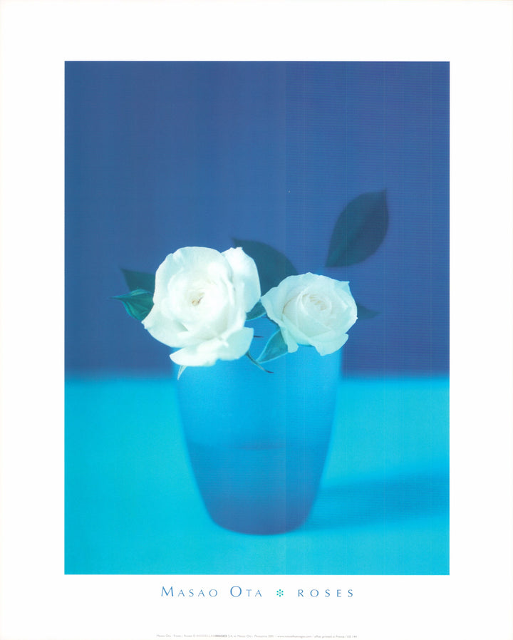 Roses by Masao Ota - 16 X 20 Inches (Art Print)