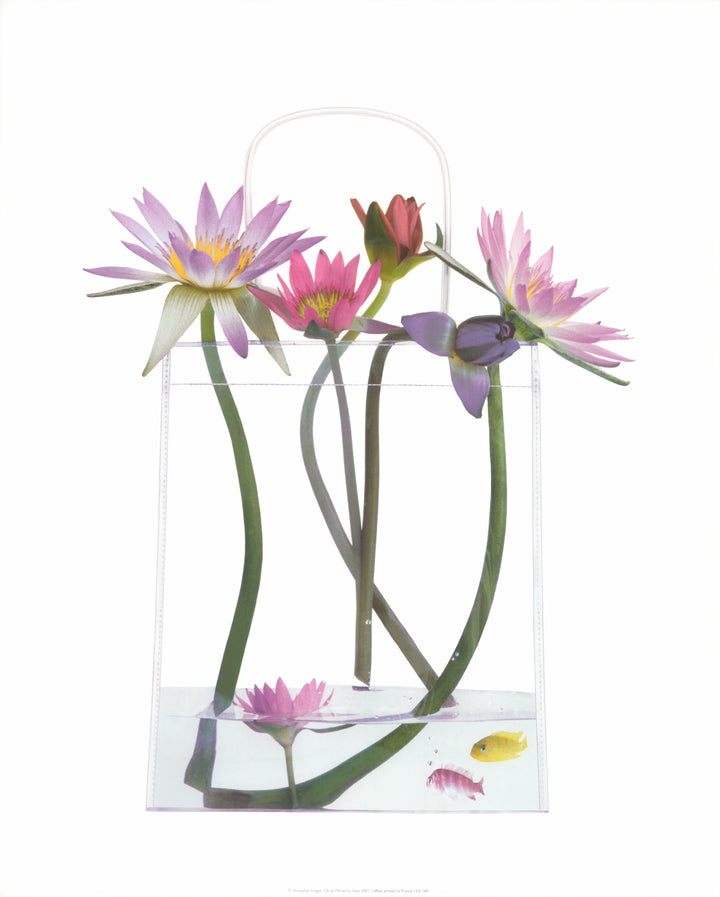 Shopping by the Sea, 2001 by Marianne Haas  - 16 X 20 Inches (Art Print)