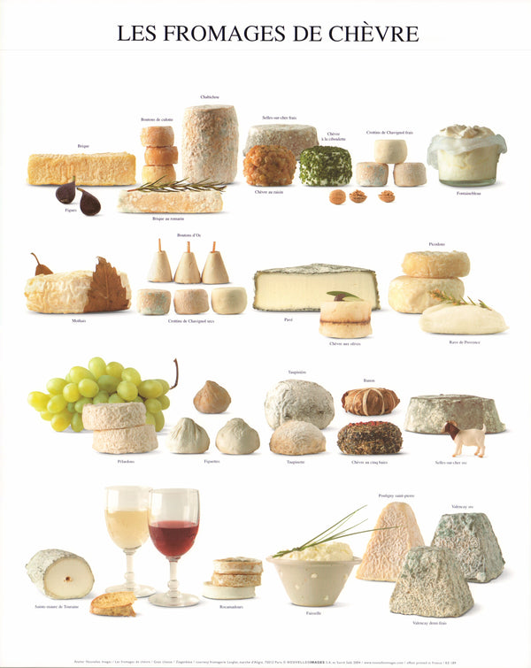 Goat Cheese by Atelier Nouvelles Images - 16 X 20 Inches (Art Print)