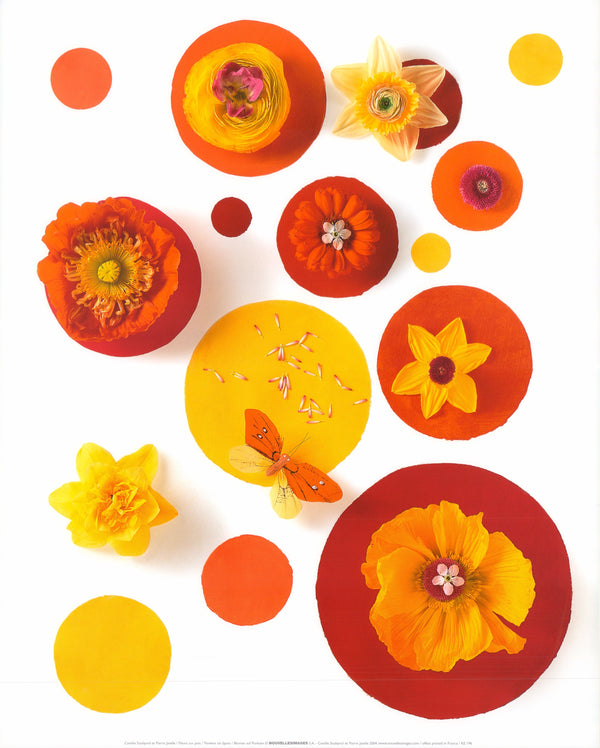 Flowers on Spots by Camille Soulayroll and Pierre Javelle - 16 X 20 Inches (Art Print)