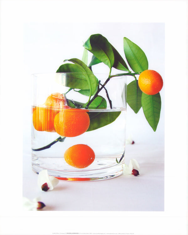 Kumquats by Amélie Vuillon - 16 X 20 Inches (Art Print)