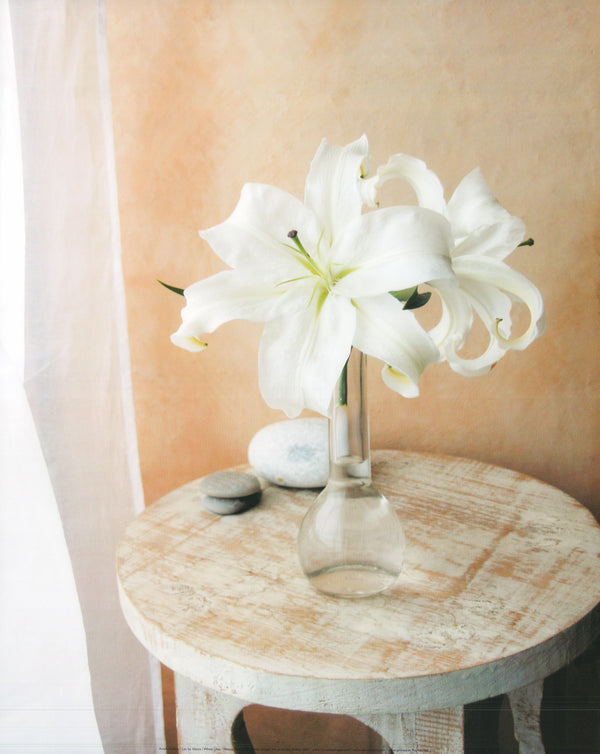 White Lilies by Amélie Vuillon - 16 X 20 Inches (Art Print)