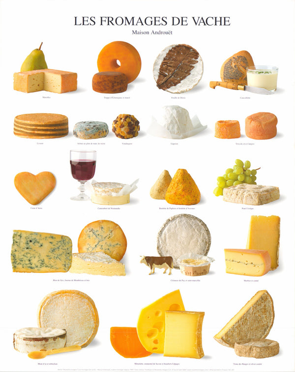 Cow Cheese by Atelier Nouvelles Images - 16 X 20 Inches (Art Print)