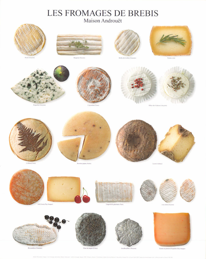 Sheep's Cheese by Atelier Nouvelles Images - 16 X 20 Inches (Art Print)