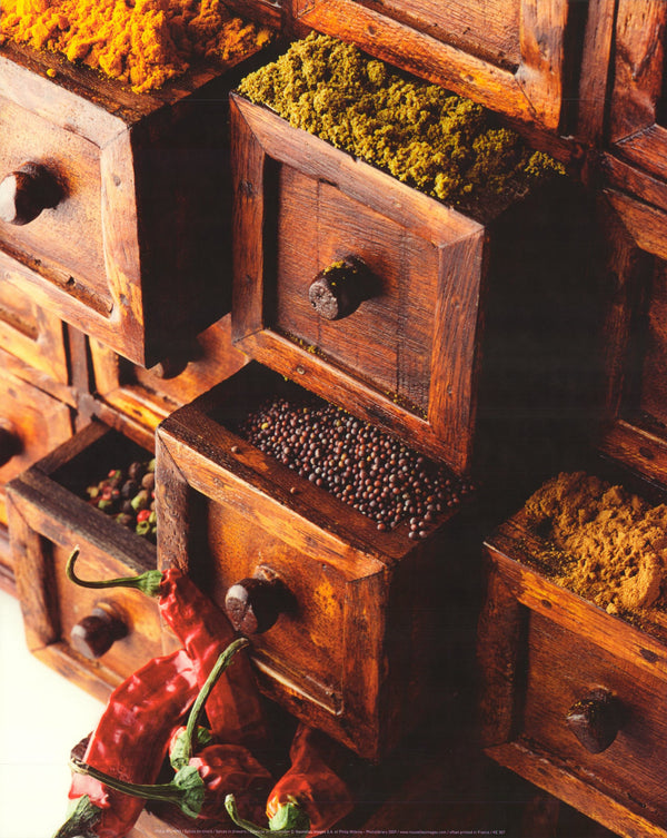 Spices in Drawers by Philip Wilkins - 16 X 20 Inches (Art Print)