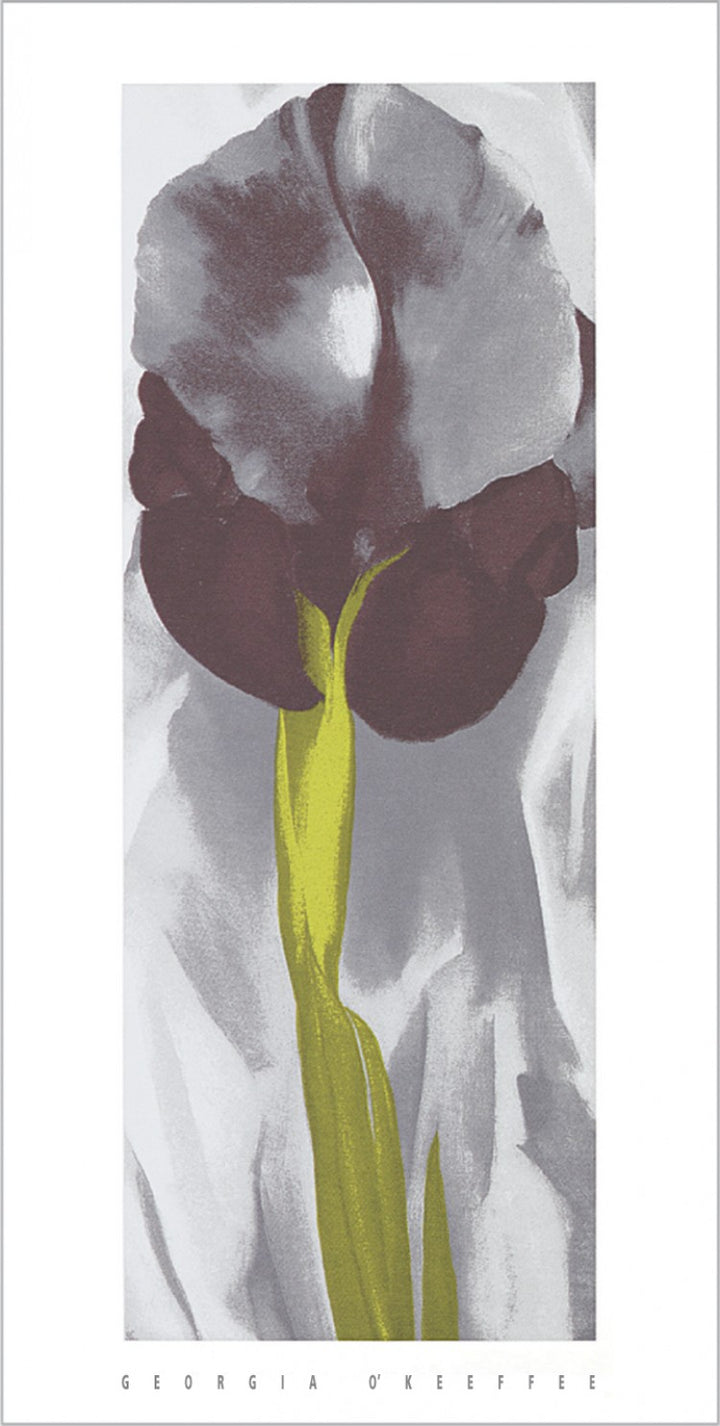 Dark Iris I, 1927 by Georgia O'Keeffe - 20 X 40 Inches (Silkscreen / Sérigraphie)