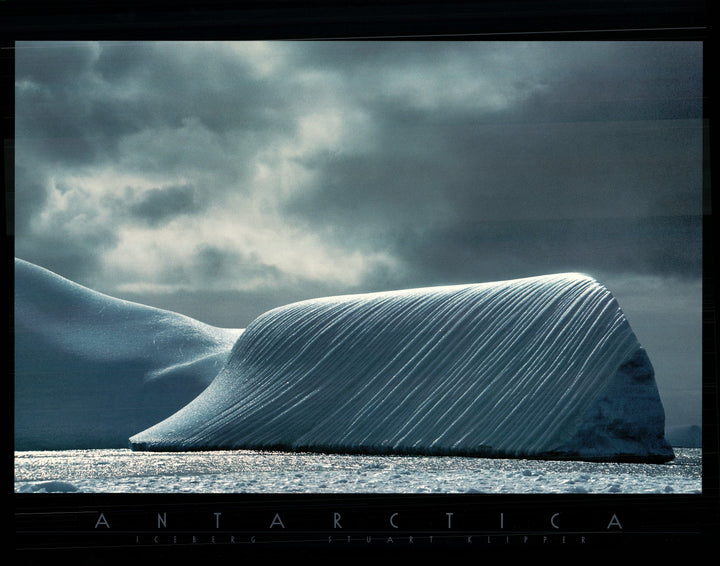 Antartica by Stuart Klipper - 24 X 32 Inches (Art Print)