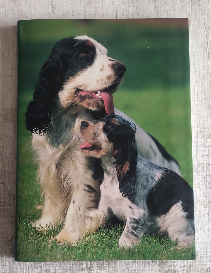 Cocker Spaniel Inglese by Adriano Bacchella - 6 X 8 Inches (Blank Book)