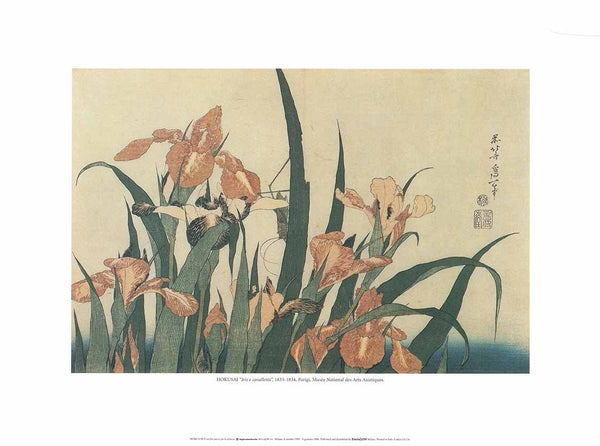 Iris and Grasshopper, 1833-1834 by Katsushika Hokusai - 12 X 16 Inches (Art Print)