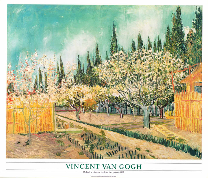 Orchard Surrounded by Cypresses, 1888 by Vincent Van Gogh - 24 X 28 Inches (Art Print)
