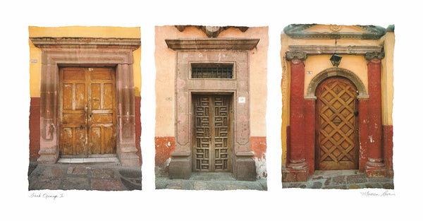 Grand Openings I, 2001 by Maureen Love - 15 X 28 Inches (Offset Lithograph)