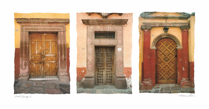 Grand Openings I, 2001 by Maureen Love - 15 X 28 Inches (Offset Lithograph)