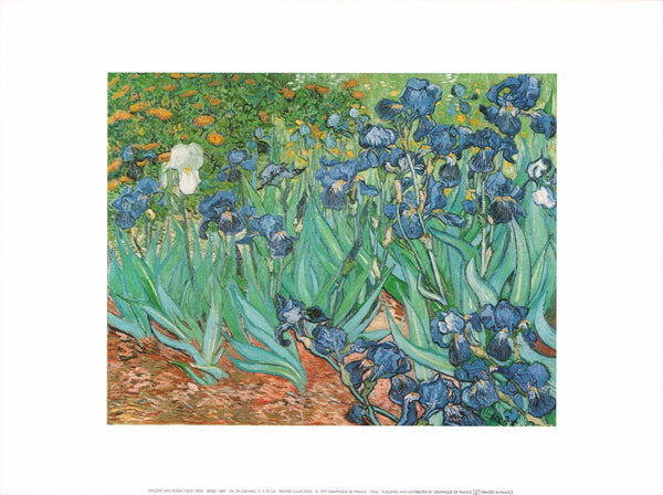 Irises, 1889 by Vincent Van Gogh - 12 X 16 Inches (Art Print)µ