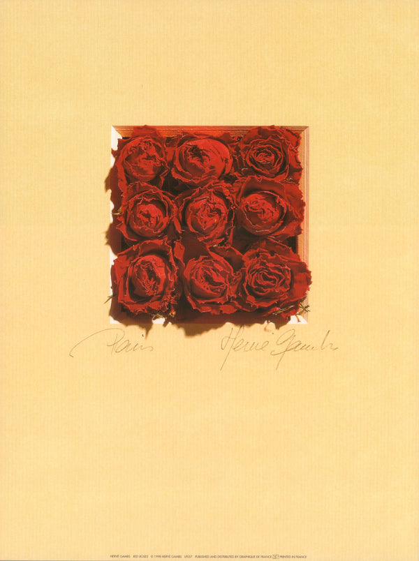Red Roses by Hervé Gambs - 12 X 16 Inches (Art Print)
