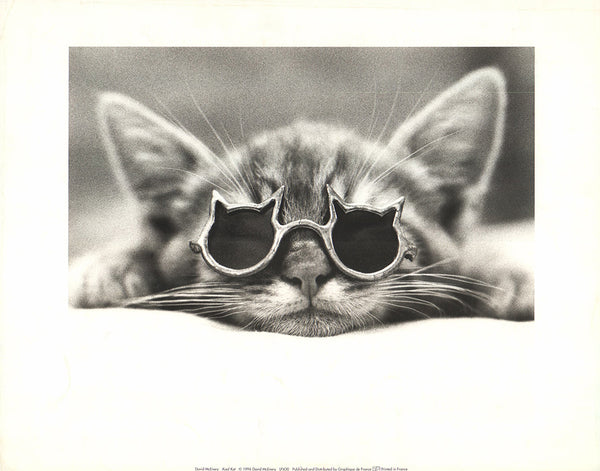 Kool Cat by David McEnery - 11 X 14 Inches (Art Print)