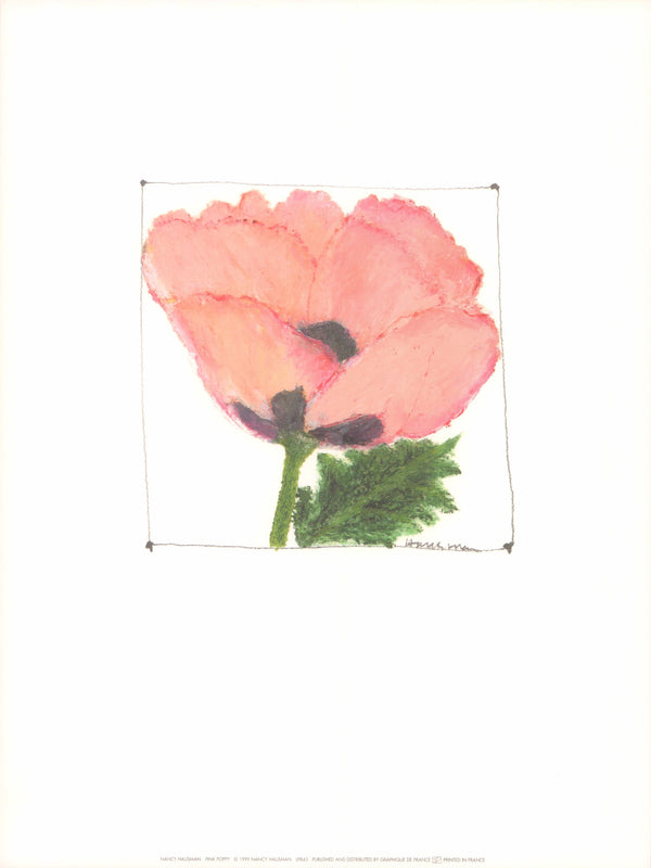 Pink Poppy by Nancy Hausman - 12 X 16 Inches (Art Print)
