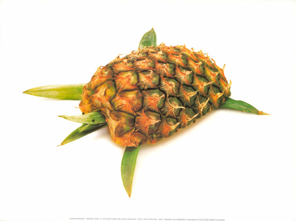Pineapple Turtle by Saxton Freymann - 12 X 16 Inches (Art Print)