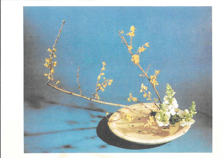 L'Art des Bouquets Japonais - 4 X 6 Inches (10 Postcards)