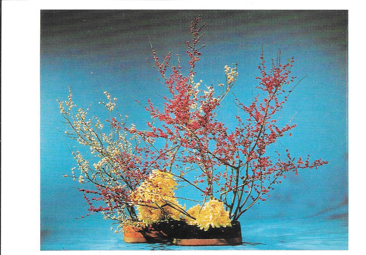 L'Art des Bouquets Japonais Hiver II - 4 X 6 Inches (10 Postcards)