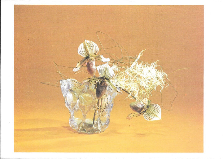 L'Art des Bouquets Japonais Improvisation - 4 X 6 Inches (10 Postcards)