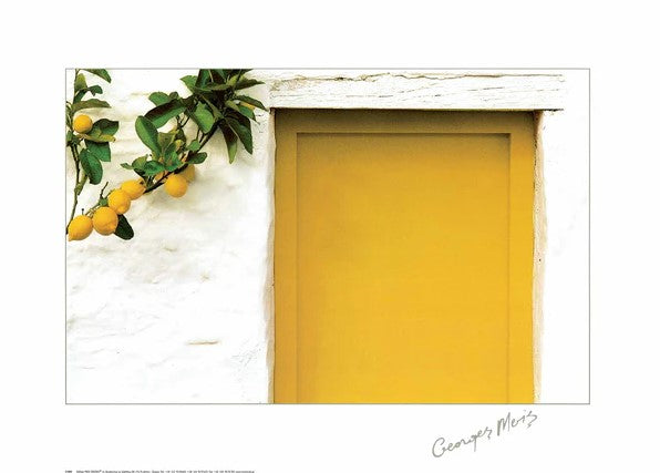 Lemons with Yellow Door by Georges Meis - 20 X 28 Inches (Art Print)