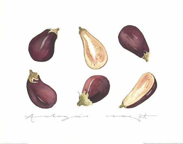 Aubergines by Sophie Allport - 16 X 20 Inches (Watercolour / Aquarelle)