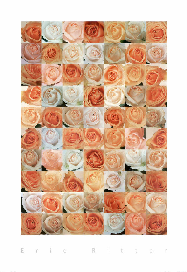 Roses by Eric Ritter - 28 X 40 Inches (Offset Lithograph)