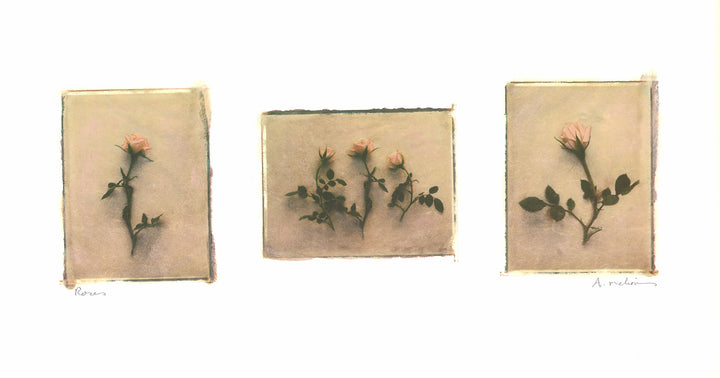 Roses, 1997 by Amy Melious - 13 X 24 Inches (Art Print)