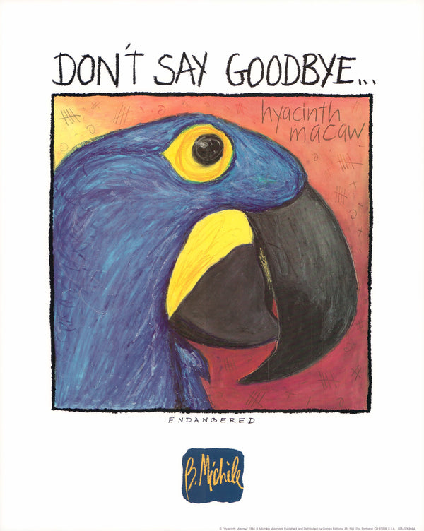 Hyacinth Macaw, 1994 by B. Michèle Maynard - 16 X 20 Inches (Art Print)