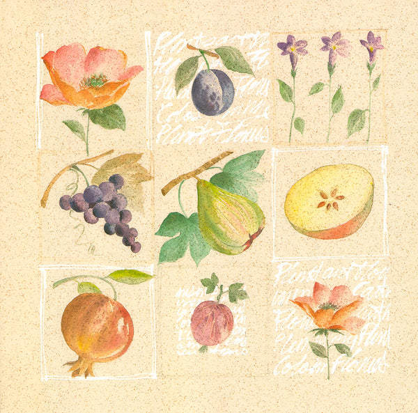 Fleurs & Fruits I, 2000 by Jacques Morello - 20 X 20 Inches (Art Print)
