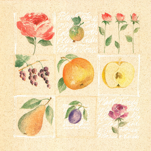 Fleurs & Fruits II, 2000 by Jacques Morello - 20 X 20 Inches (Art Print)