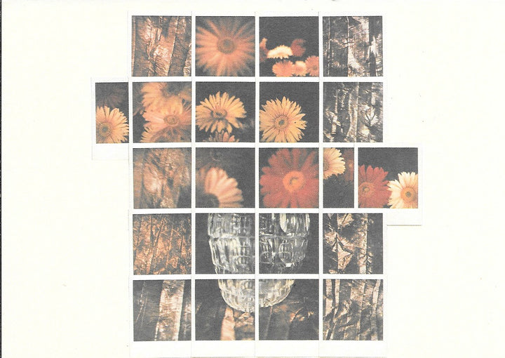 Marguerites by Stefan de Jeager - 4 X 6 Inches (10 Postcards)