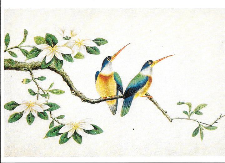 Martins-Pêcheurs Peinture Chinoises 18e S - 4 X 6 Inches (10 Postcards)